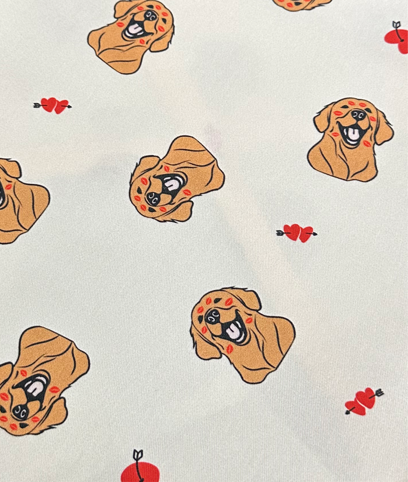 Set Golden Retriever Cuori