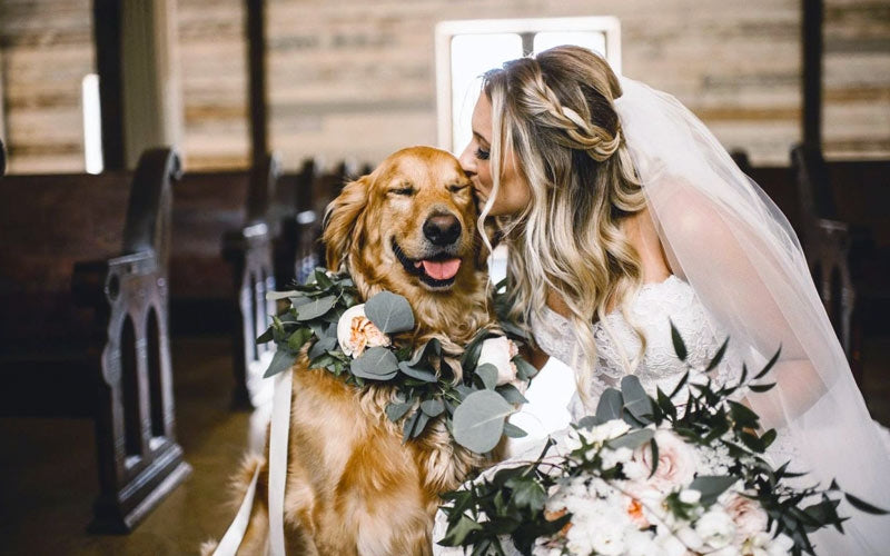 Accessori su Richiesta - Matrimoni