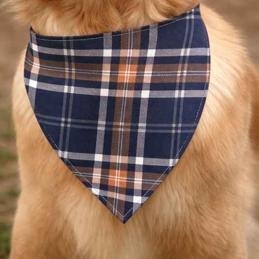 Bandana Quadri Scozzese Blu