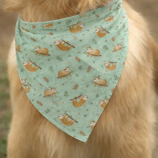 Bandana Bradipo