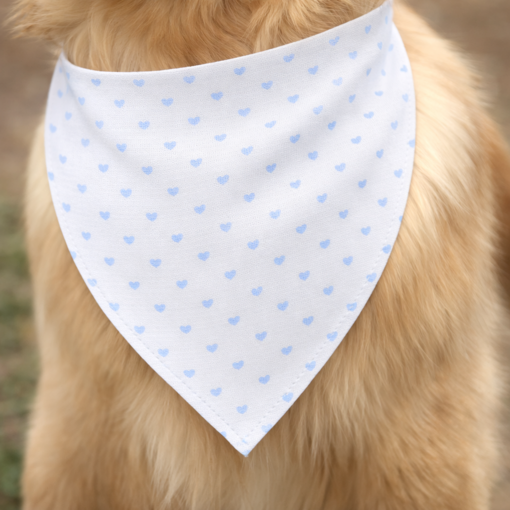 Bandana Personalizzabile Cuori Azzurra