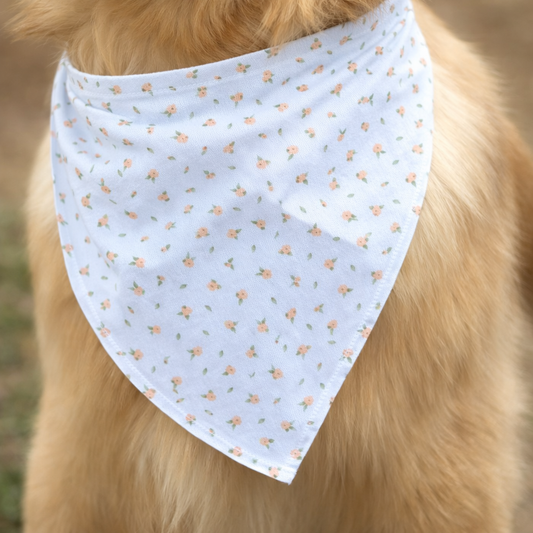 Bandana Rose