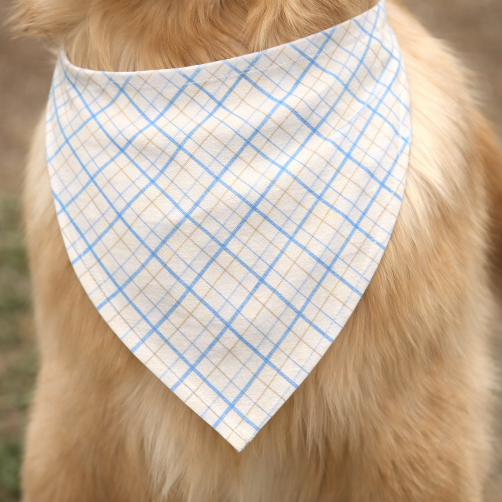 Bandana Personalizzabile Scozzese Azzurra