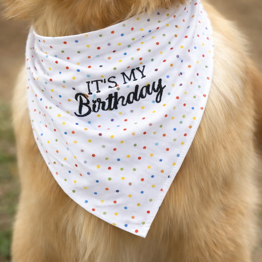 Bandana Compleanno